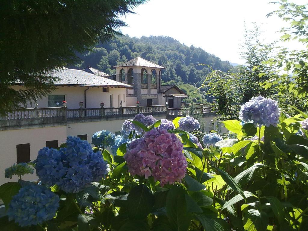 Hotel Villa Delle Ortensie Sant'Omobono Imagna Extérieur photo